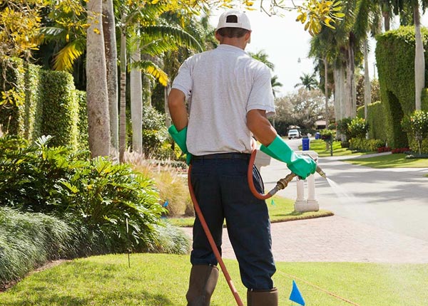 About Cochran GA Pest Control Pros